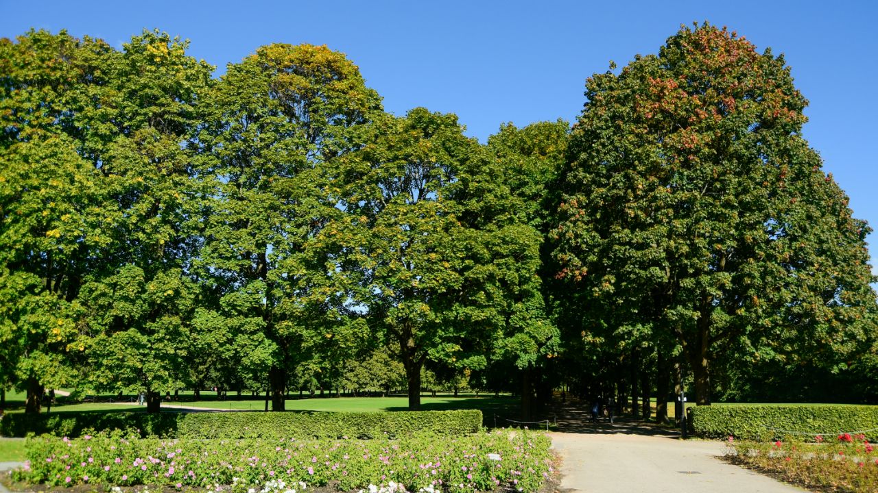 Elderly-friendly parks in Macclesfield. Best parks in macclesfield
