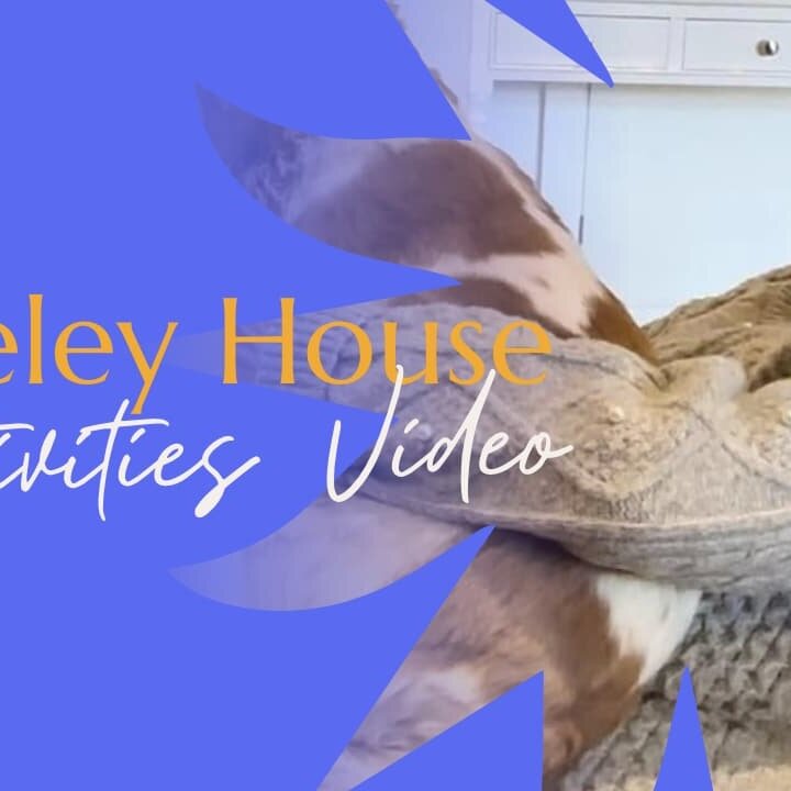 Riseley House Macclesfield Care Home Macclesfield Activities Video. A look a life in a care home. Macclesfield residential Care Home. Offering Elderly Care in Macclesfield.